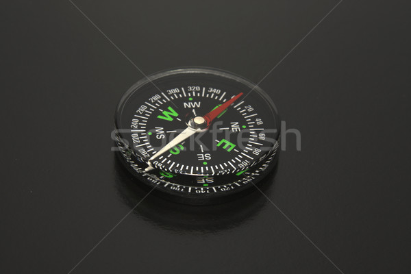 compass Stock photo © restyler