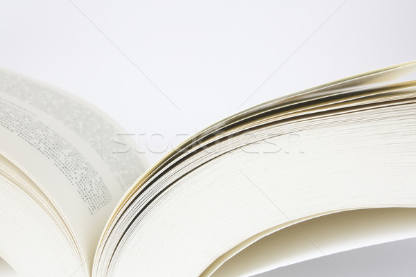 open book Stock photo © restyler