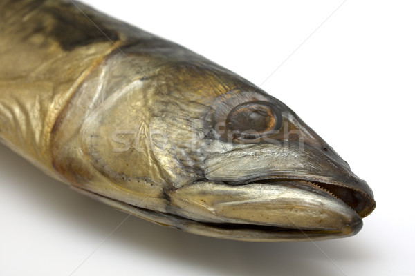 頭 鯖魚 熏制 白 魚 性質 商業照片 © restyler