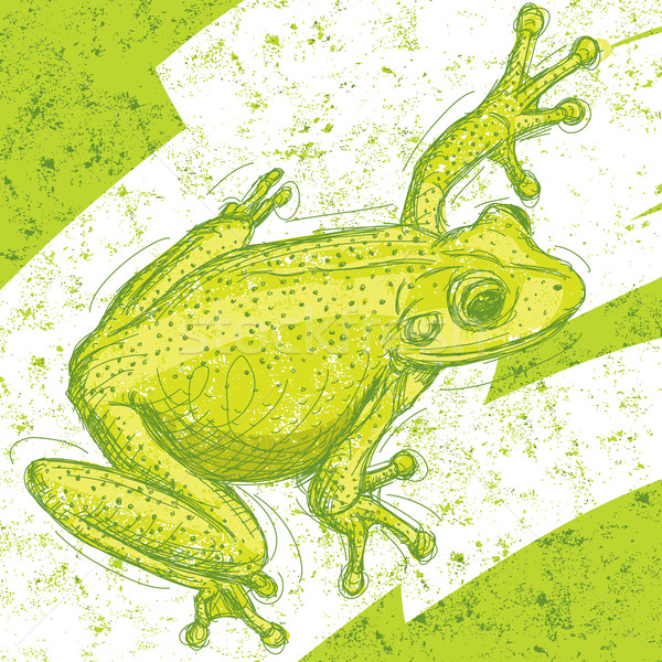 Stok fotoğraf: Kurbağa · çizim · soyut · ayrı · karikatür