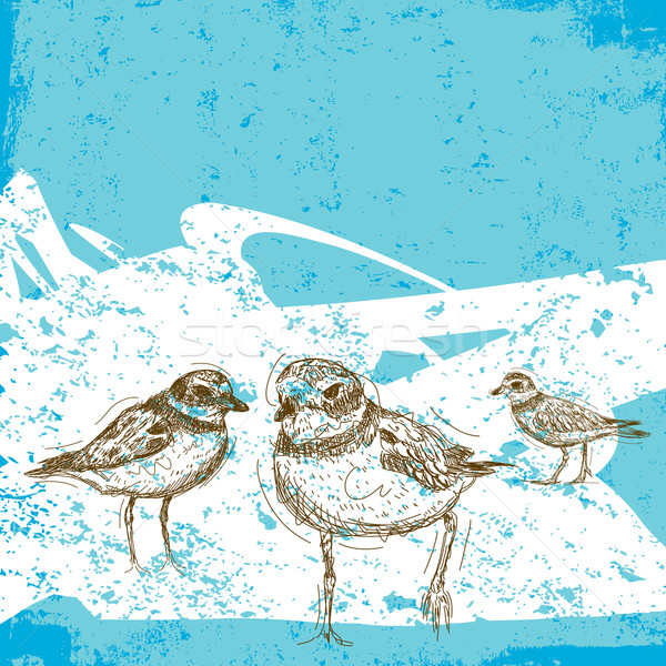 Stock photo: Sketchy Sandpipers 