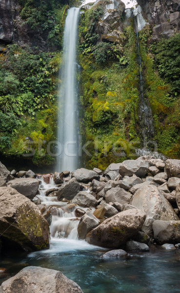 Dawson Falls New Zealand Stock photo © rghenry
