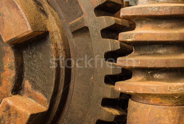 Gear Worm Drive Stock photo © rghenry