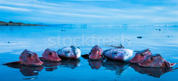 Fish Heads Beach Stock photo © rghenry