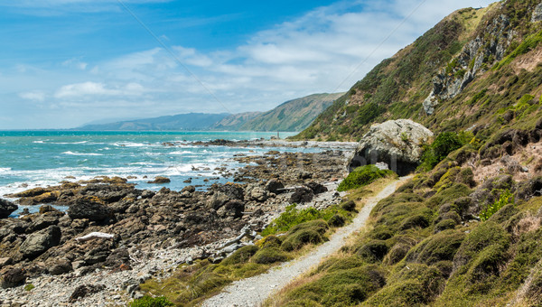 Stâncă plajă rezerva Noua Zeelanda apă Imagine de stoc © rghenry