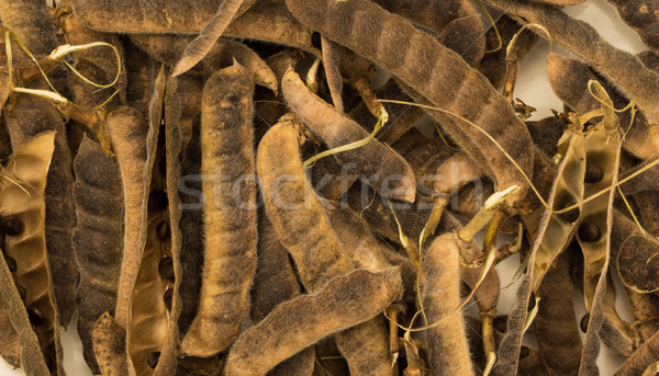 Kronleuchter Samen trocken Öffnen up Stock foto © rghenry