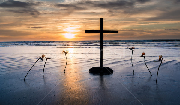 Aves paraíso flor cruz negro rezando Foto stock © rghenry