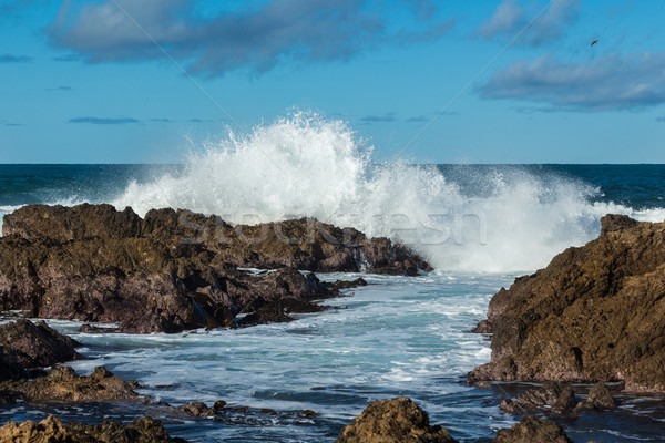 Splashing Rocks Stock photo © rghenry