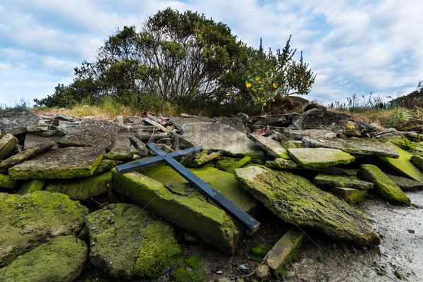 çapraz yosun siyah eski kırık çimento Stok fotoğraf © rghenry