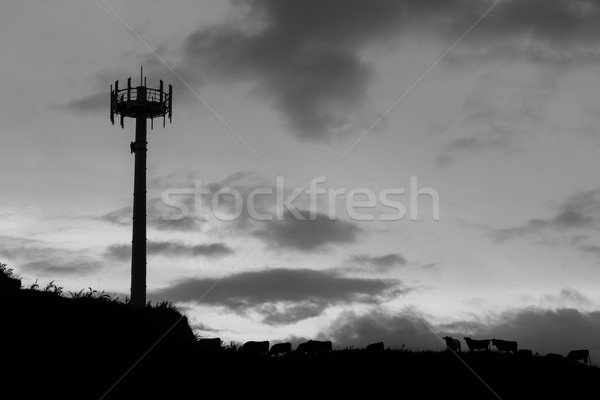 Cell Phone Tower Stock photo © rghenry