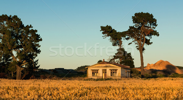 Wheat Field House Stock photo © rghenry