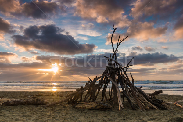 海灘 木 庇護 出 太陽 商業照片 © rghenry