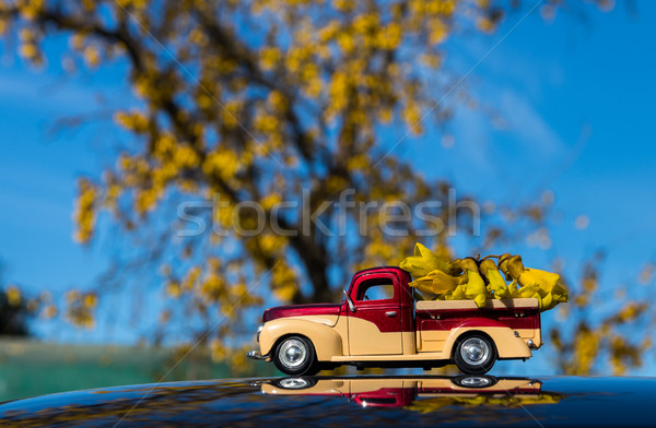 Foto stock: Flores · carregar · modelo · caminhão · árvore