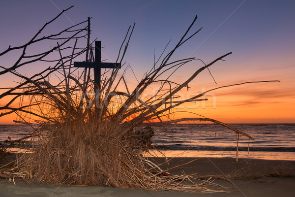Korzenie zbawienie czarny krzyż plaży niebo Zdjęcia stock © rghenry