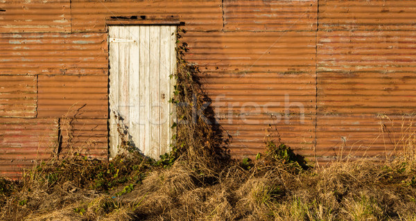 Stock photo: Old Shed Door