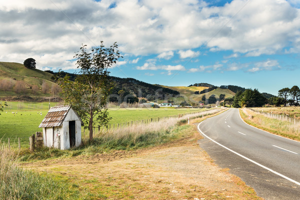 国 バス停 シェルター ニュージーランド 田舎道 ストックフォト © rghenry