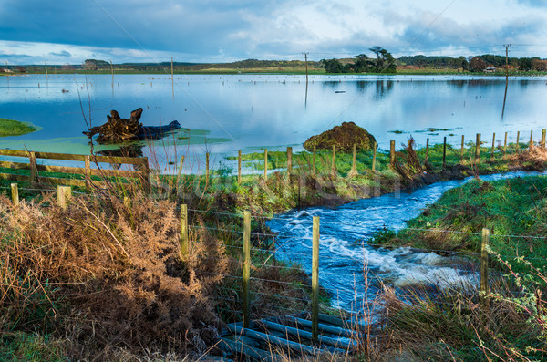 Flooding Farmland Stock photo © rghenry