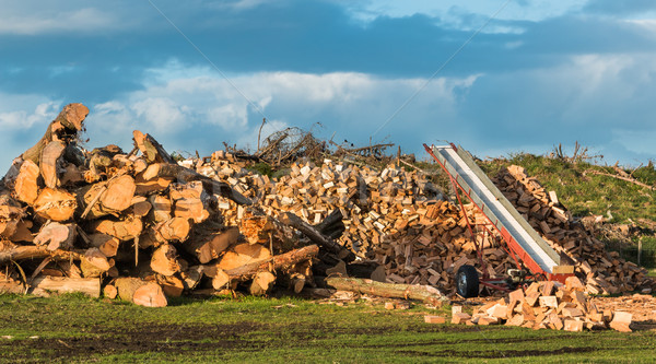 Lemne de foc tăiat in sus Imagine de stoc © rghenry