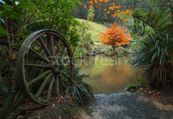 Stock photo: Wheel Pond