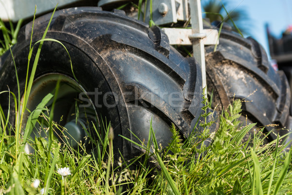 Farm pár fekete autógumik zöld fű absztrakt Stock fotó © rghenry