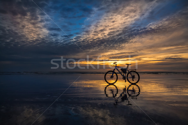 Tengerpart bicikli tükröződő nap víz Stock fotó © rghenry