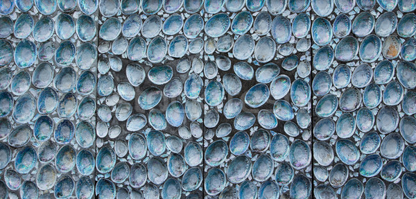 Paua Shell Wall Stock photo © rghenry