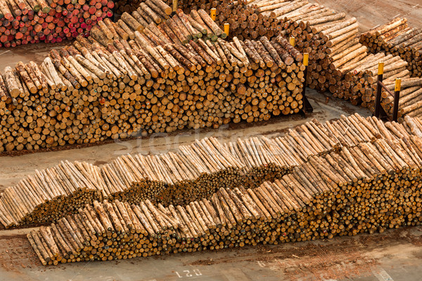 New Zealand Logs Stock photo © rghenry