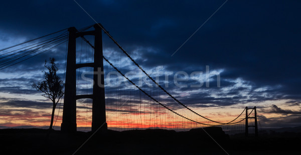 Opiki Bridge Dawn Stock photo © rghenry