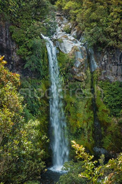 Dawson Falls Stock photo © rghenry