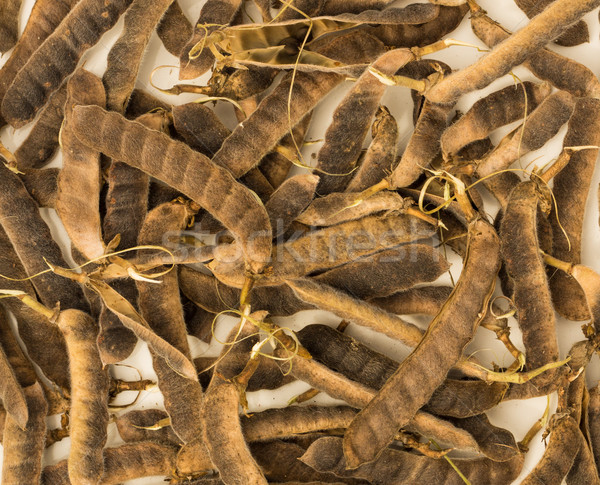 Avize kuru tohumları açılış yukarı Stok fotoğraf © rghenry
