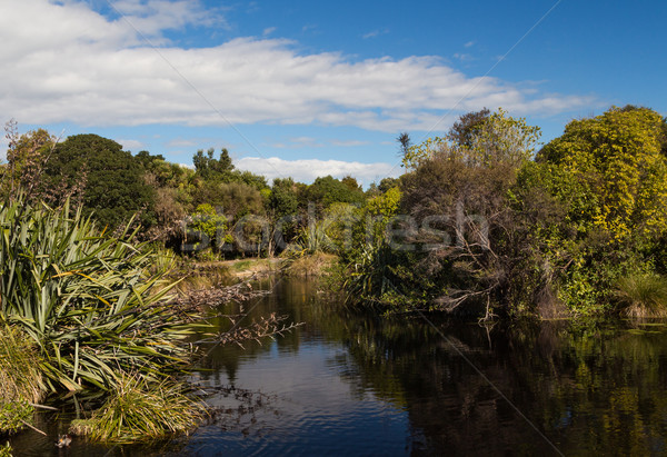 Nativo arbusto lago novo maravilhoso em torno de Foto stock © rghenry
