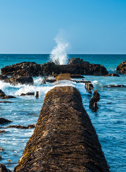 Csobbanás hullám lyuk öreg cső vonal Stock fotó © rghenry