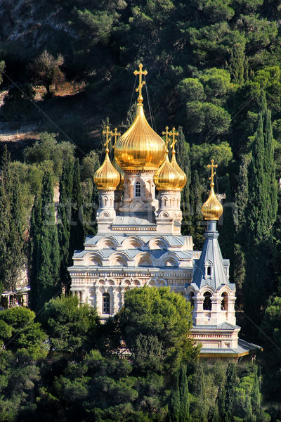 Kościoła Jerozolima Izrael pionowy obraz oliwek Zdjęcia stock © rglinsky77