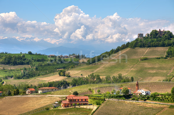 Hills of Piedmont at spring. Northern Italy. Stock photo © rglinsky77