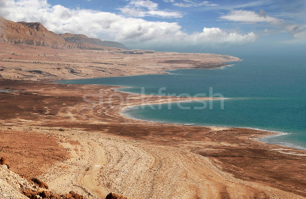 Dead sea coastline in Arava desert. Stock photo © rglinsky77