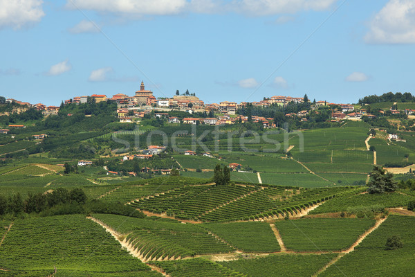 Hills of Piedmont. Northern Italy. Stock photo © rglinsky77