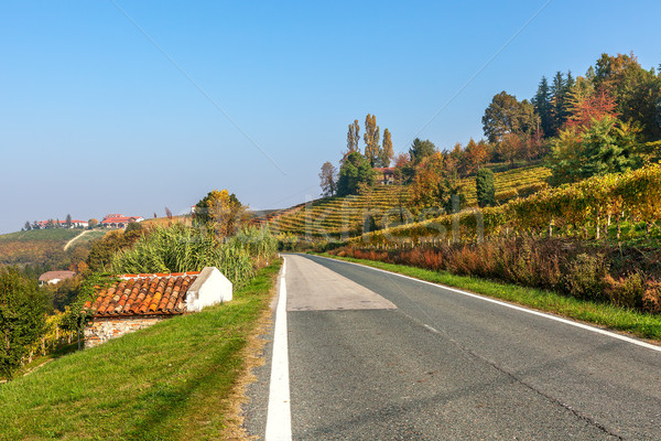 Ländlichen Straße herbstlich Hügeln Italien schmal Stock foto © rglinsky77