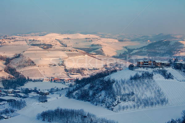 Hills of Langhe in winter. Stock photo © rglinsky77