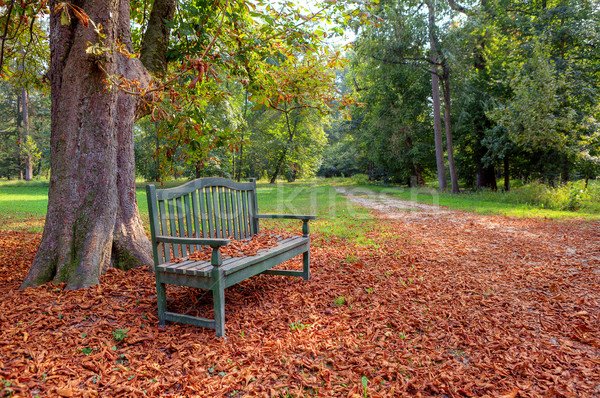 Stock foto: Bank · herbstlich · Park · Baum · bedeckt