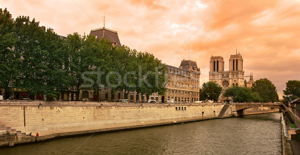 Seine river and Notre Dame de Paris cathedral. Stock photo © rglinsky77