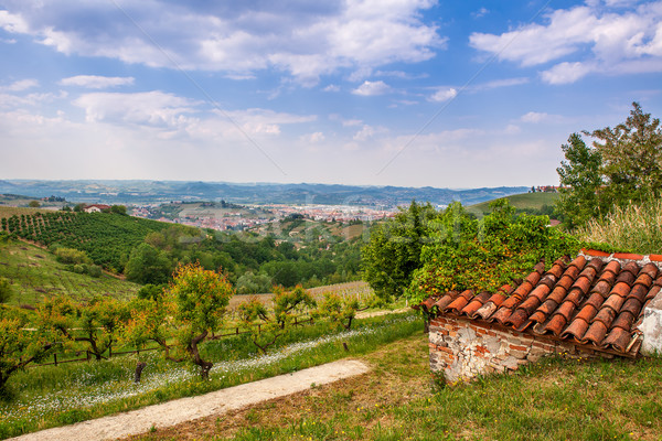 Vert collines printemps vue fruits arbres [[stock_photo]] © rglinsky77