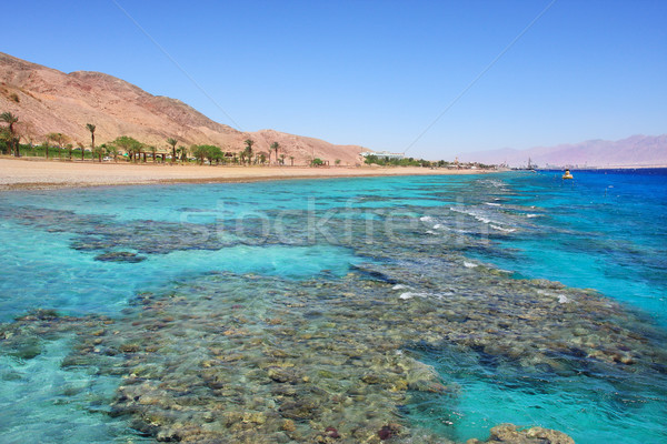 Red Sea shoreline. Eilat, Israel. Stock photo © rglinsky77