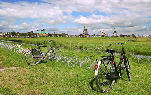 Foto stock: Rural · ver · verde · campos · enseada · famoso