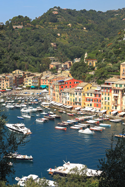 View on Portofino, Italy. Stock photo © rglinsky77