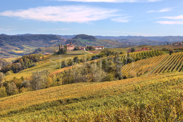 Hills and vineyards of Piedmont at fall. Stock photo © rglinsky77