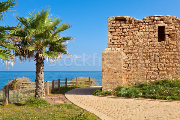 Promenád ősi sír Izrael part mediterrán Stock fotó © rglinsky77