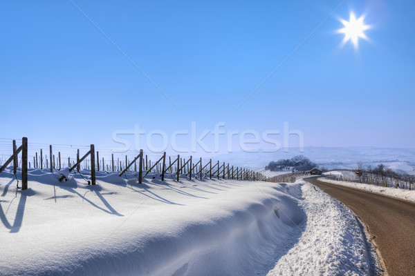 Straße Hügeln schmal blauer Himmel nördlich Stock foto © rglinsky77