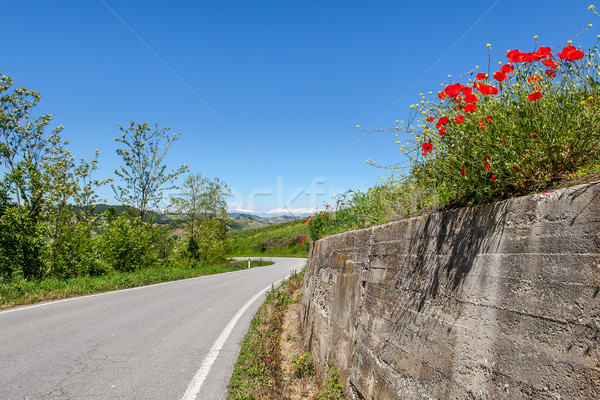 Road, green hills and red poppies. Stock photo © rglinsky77