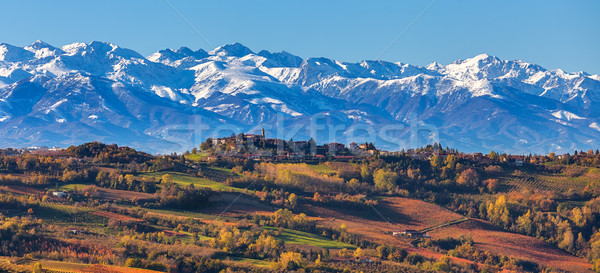 Autumnal vineyards and snowy mountains in Italy. Stock photo © rglinsky77