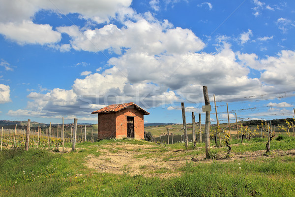 Rural house among vineyards. Piedmont, Italy. Stock photo © rglinsky77